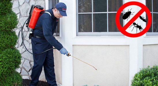 Hani Hamam Böceği İlaçlama böcek ilaçlama ve haşere kontrolü — ilaclama-tr.com